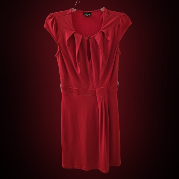 Allen B. Dress - Picture 1 of 2